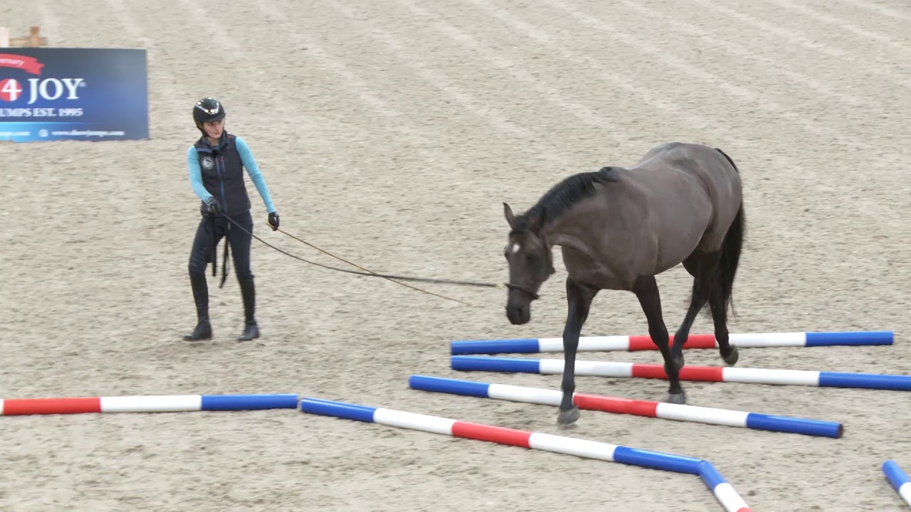 | Your Horse and Sammy Finnemore bring you a polework grid to give your horse a full body workout
