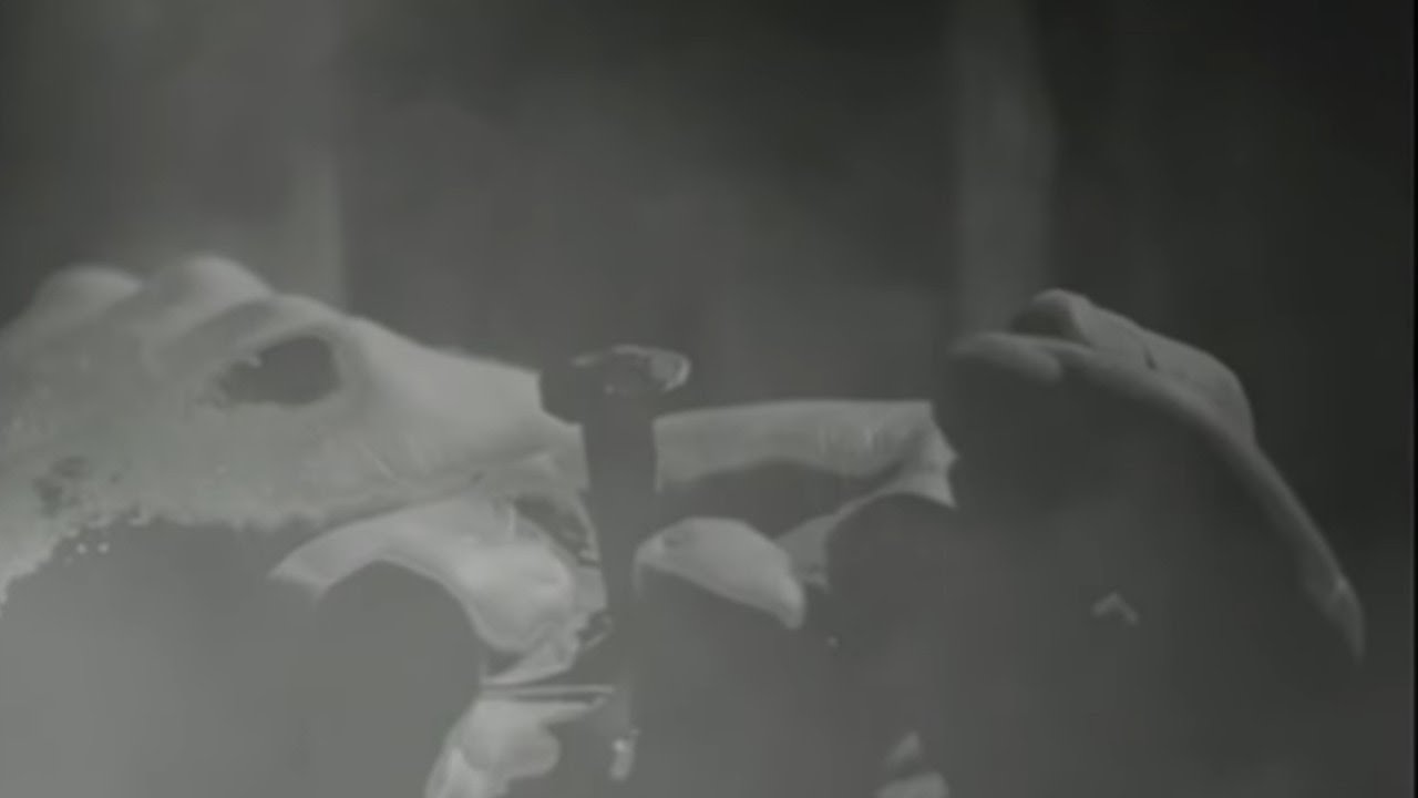 Regard Extrême - Eldorado