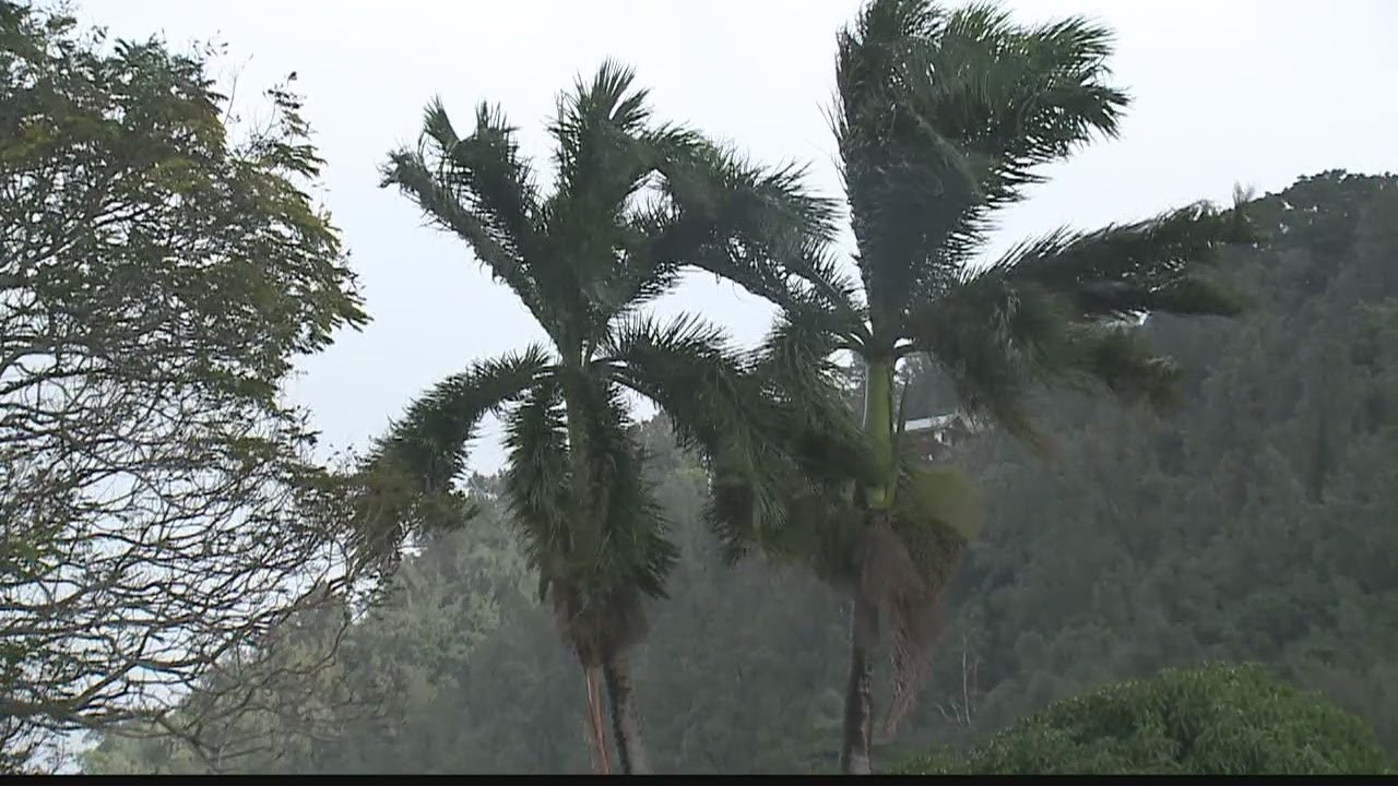 Hurricane/Natural Disaster Business Plan