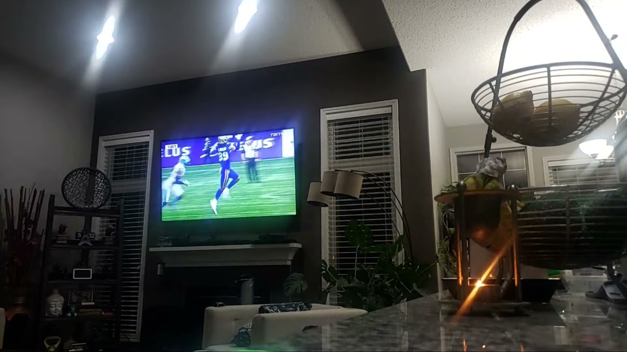 Highlight 45:32 - 50:31 from Grey Cup party