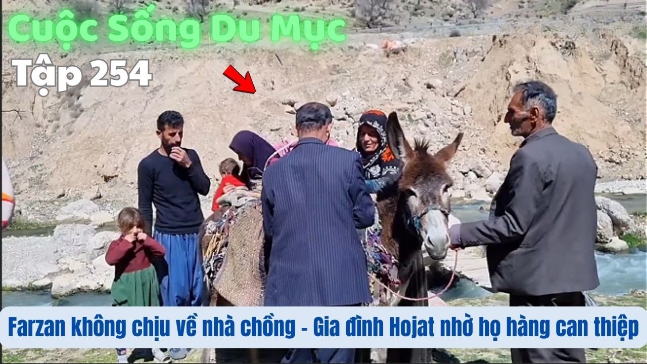Tập 254| Cuộc Sống Du Mục Iran: Farzan từ chối về nhà Hojat- Gia đình Hojat nhờ họ hàng can thiệp