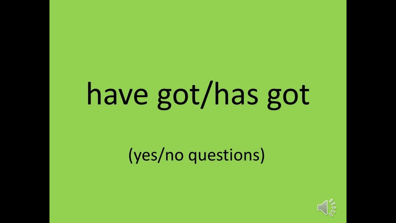 have got has got yes no questions