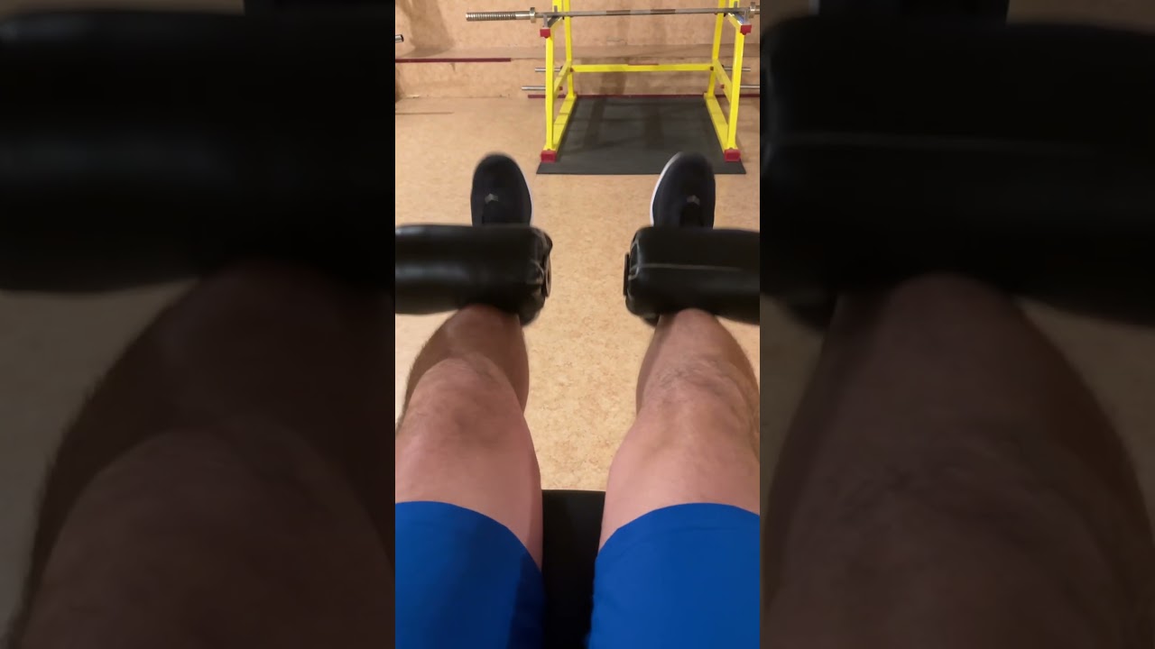 Leg Day 