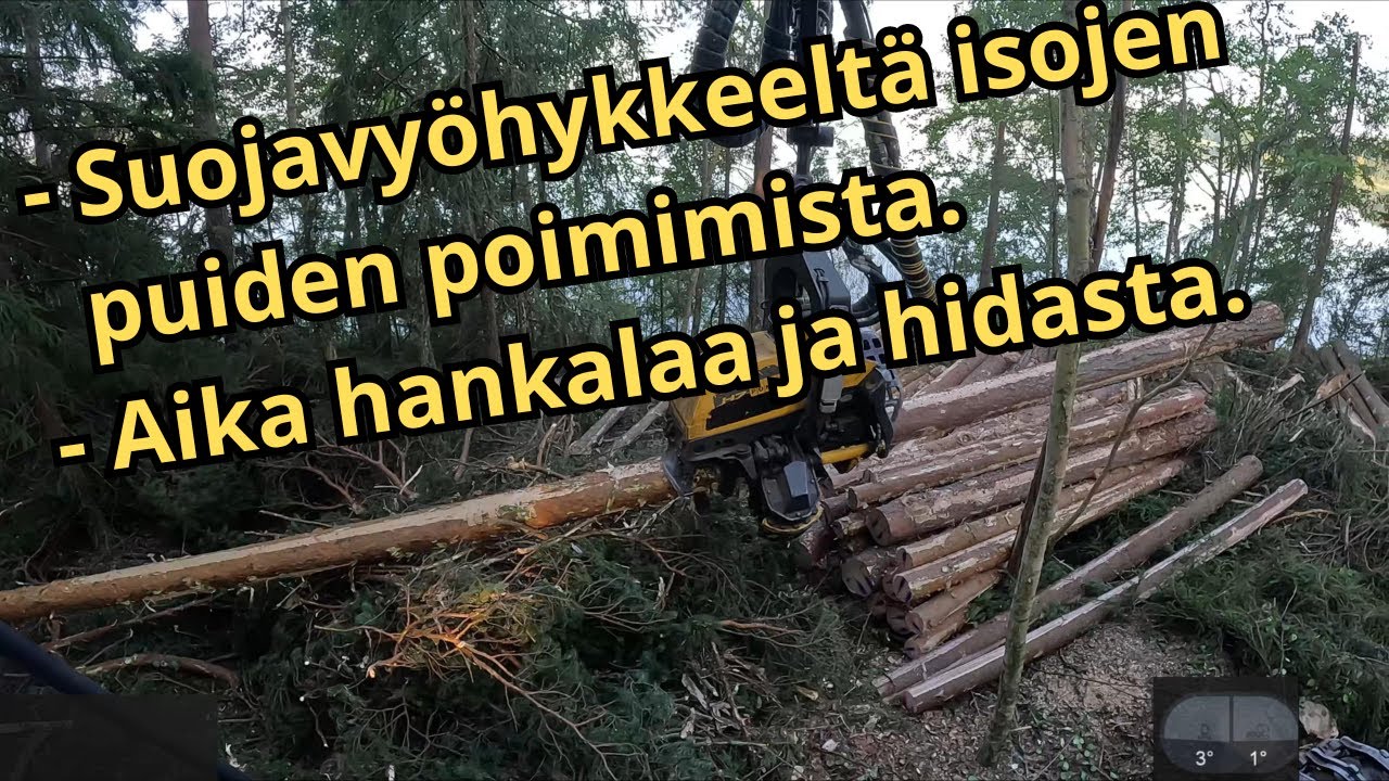 PEFC sertifioidun metsän järven rannan hakkuuta ja runkoja on paljon.  Ponsse Scorpion K H7 AC FC