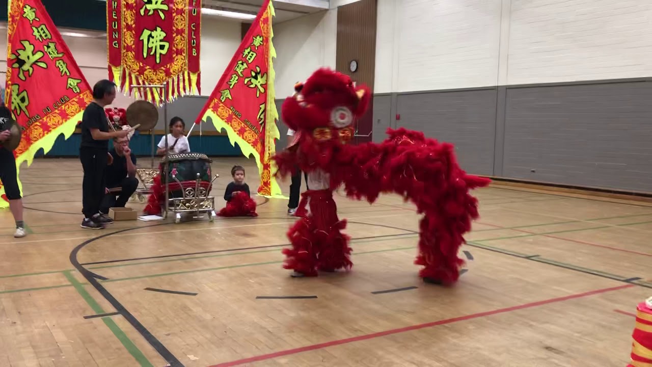 Kids lion dance