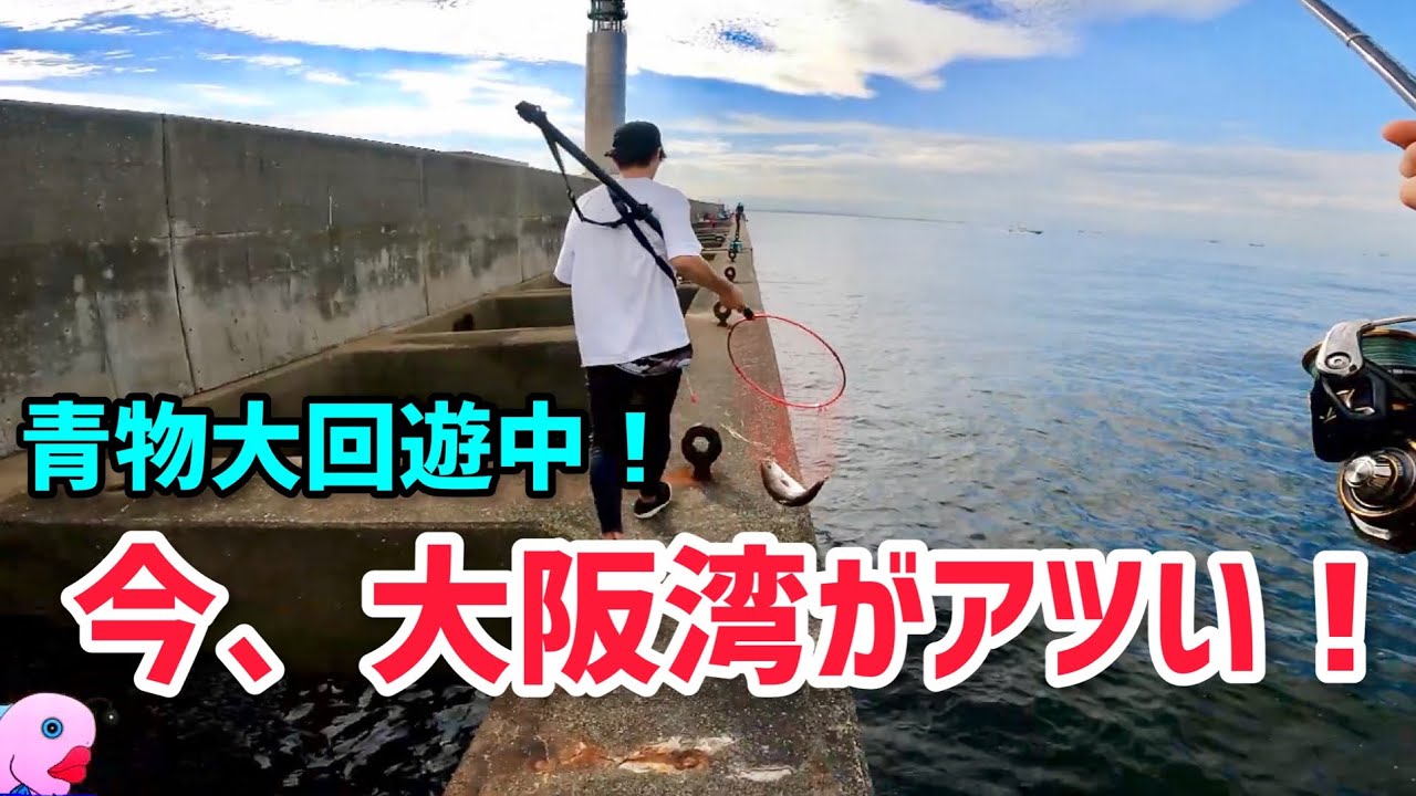 大阪湾の沖堤防で青物が大回遊してると聞いてショアジギングしてきました！やはりあのルアーでした。