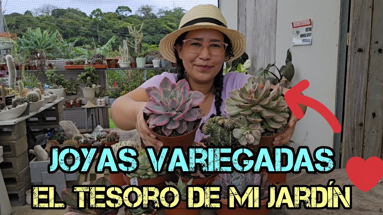 Pinceladas de la naturaleza mi jardín ya no es solamente verde / suculentas de colección