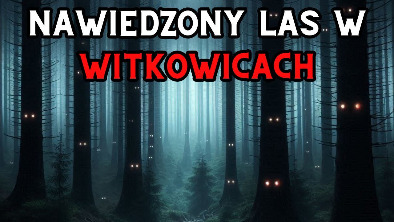 Nawiedzony Las w Witkowicach - Aktywność Paranormalna