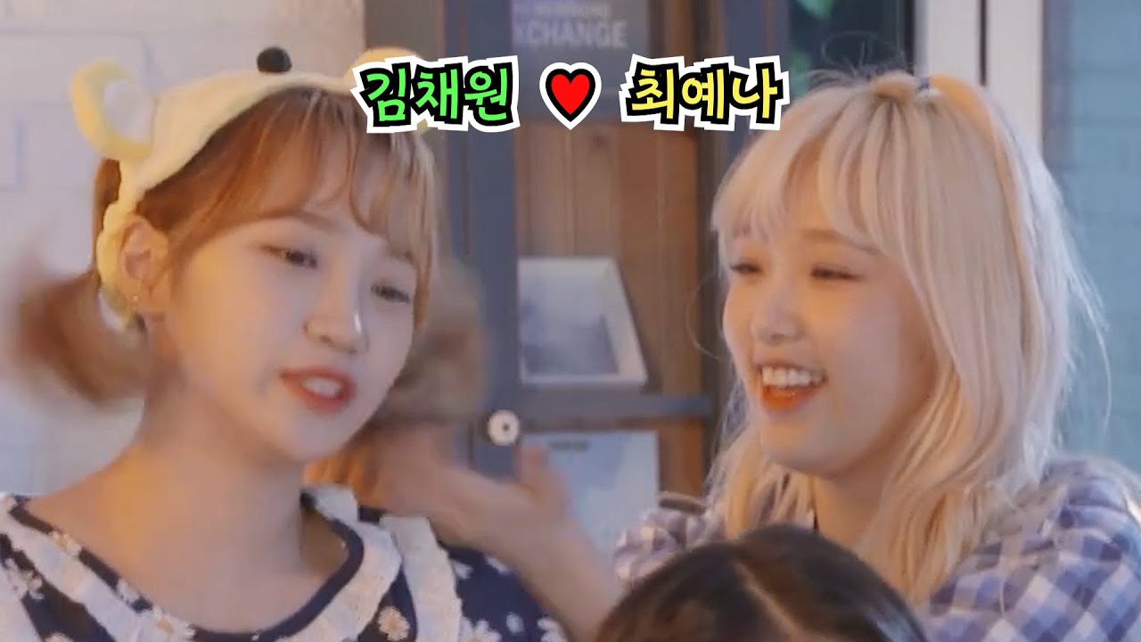 최예나❤️김채원 케미모음 #2