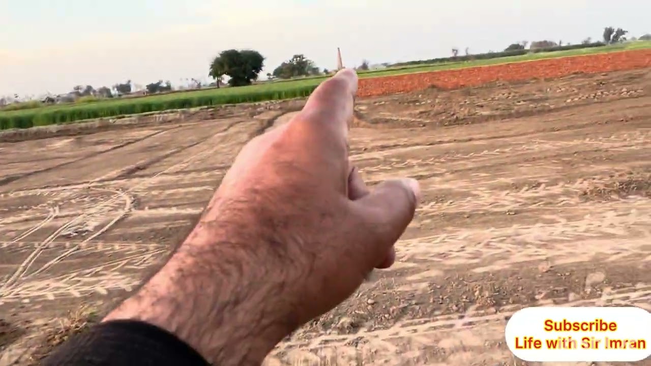 Alhamdulillah Farm ka kaam Bri Taizi say Ho Ra Hai@LifewithSirImran 