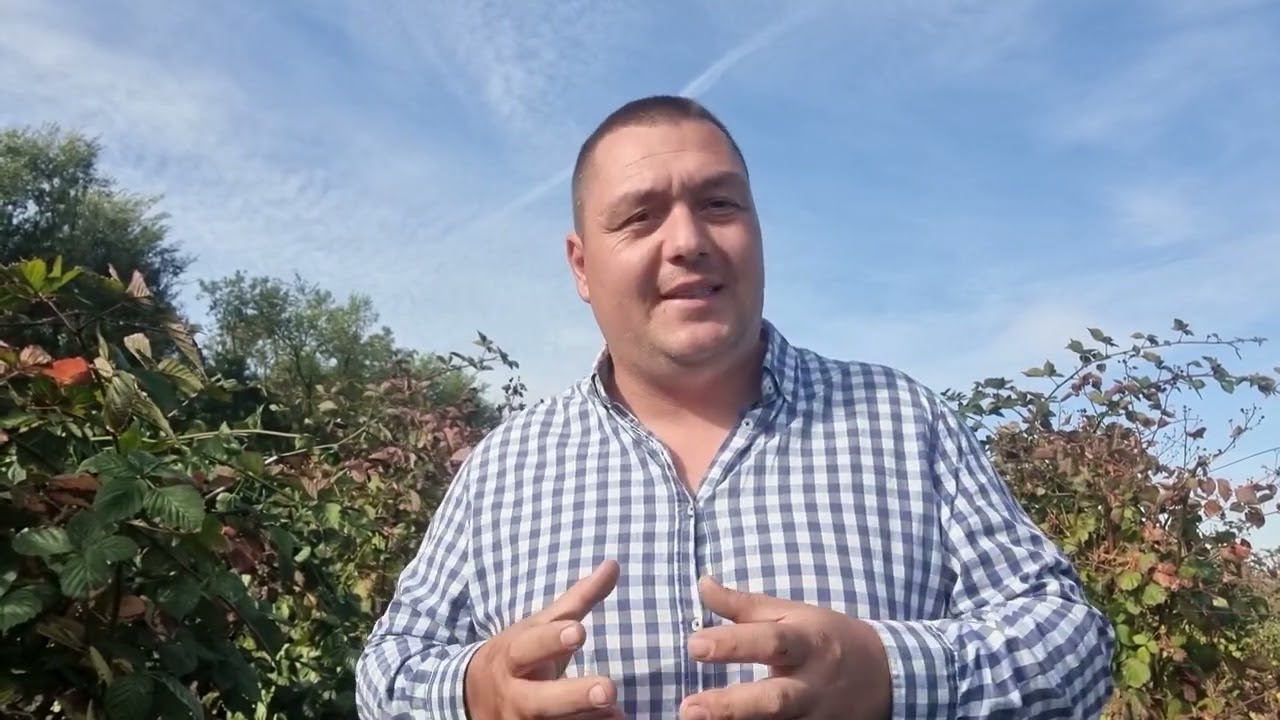 Cel mai bun SOI DE ZMEURA ! Exista soiul perfect?