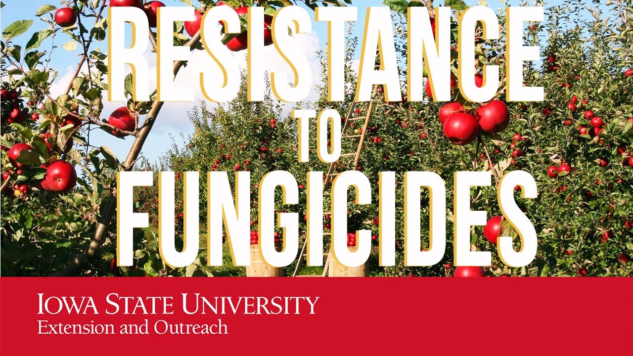 Resistance to Fungicides