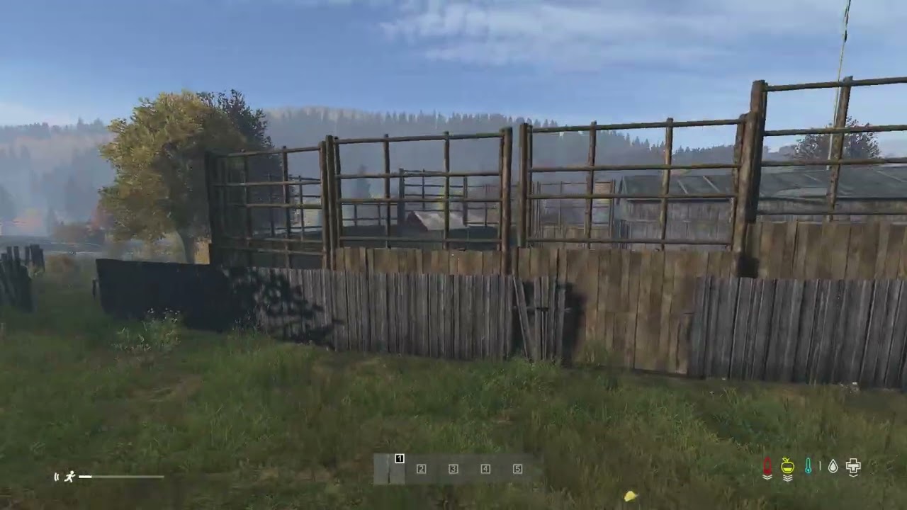 DayZ 01/03/2026