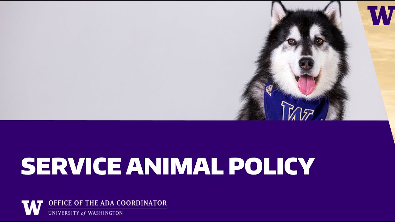 UW's Service Animal Policy