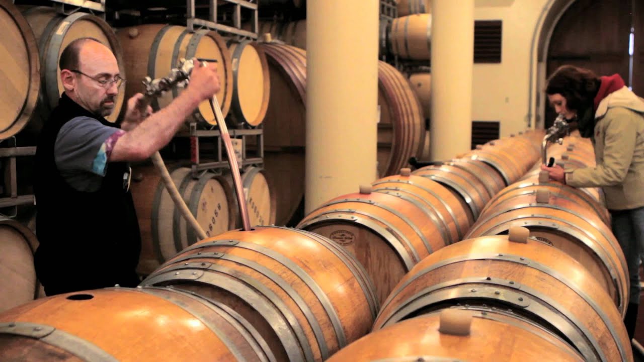 King Estate 2011 Vintage Grape Harvest Oregon Pinot Noir & Pinot Gris