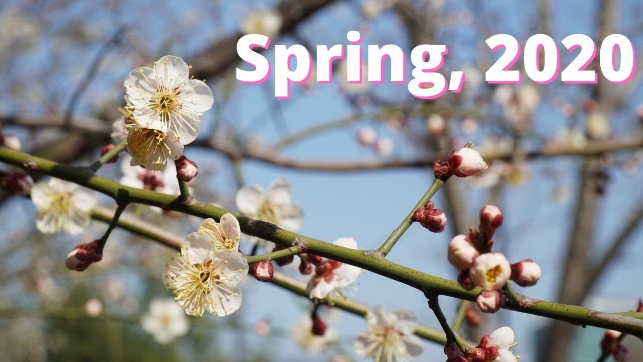 100 seconds of the Spring 2020