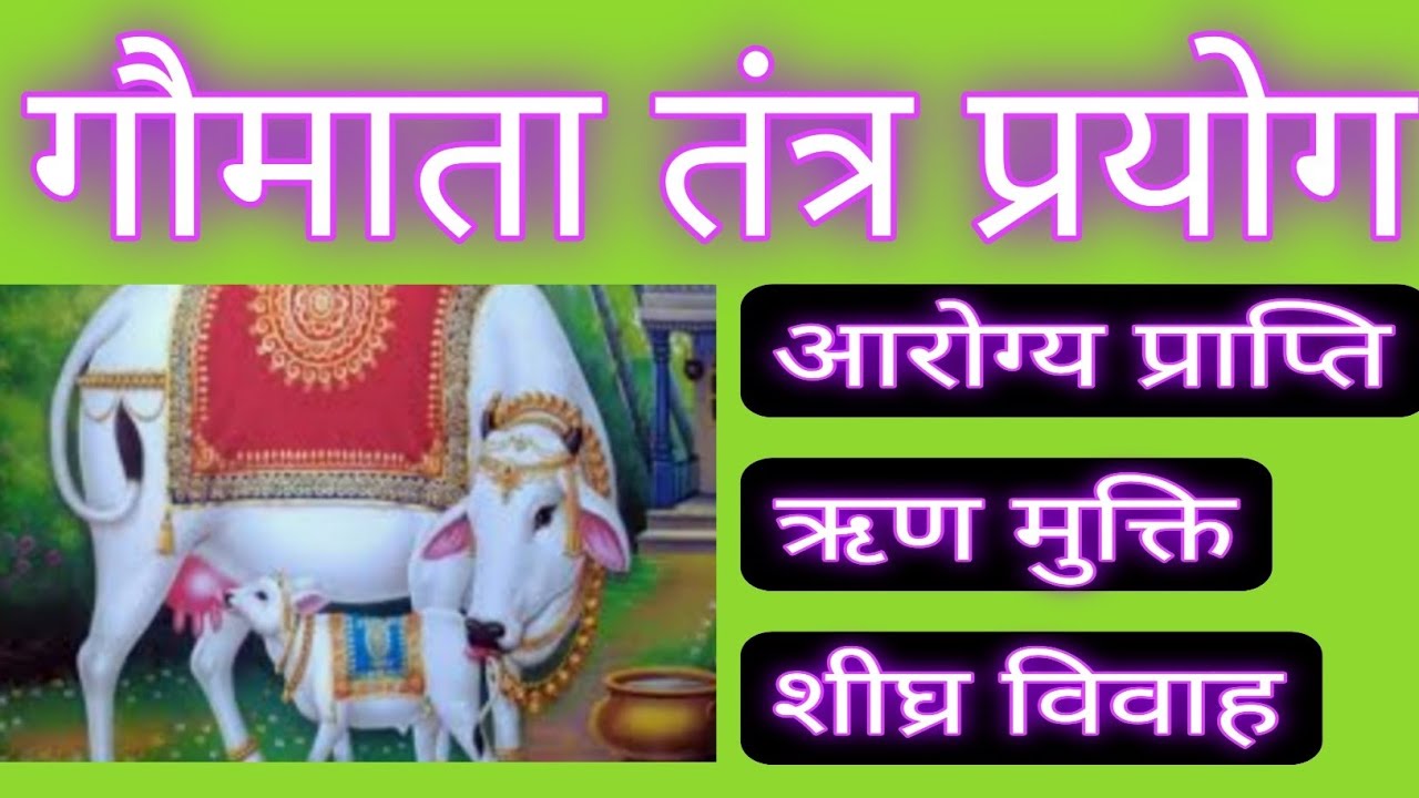 गोमाता तंत्र प्रयोग / Gomata (Cow) Tantra Prayog.