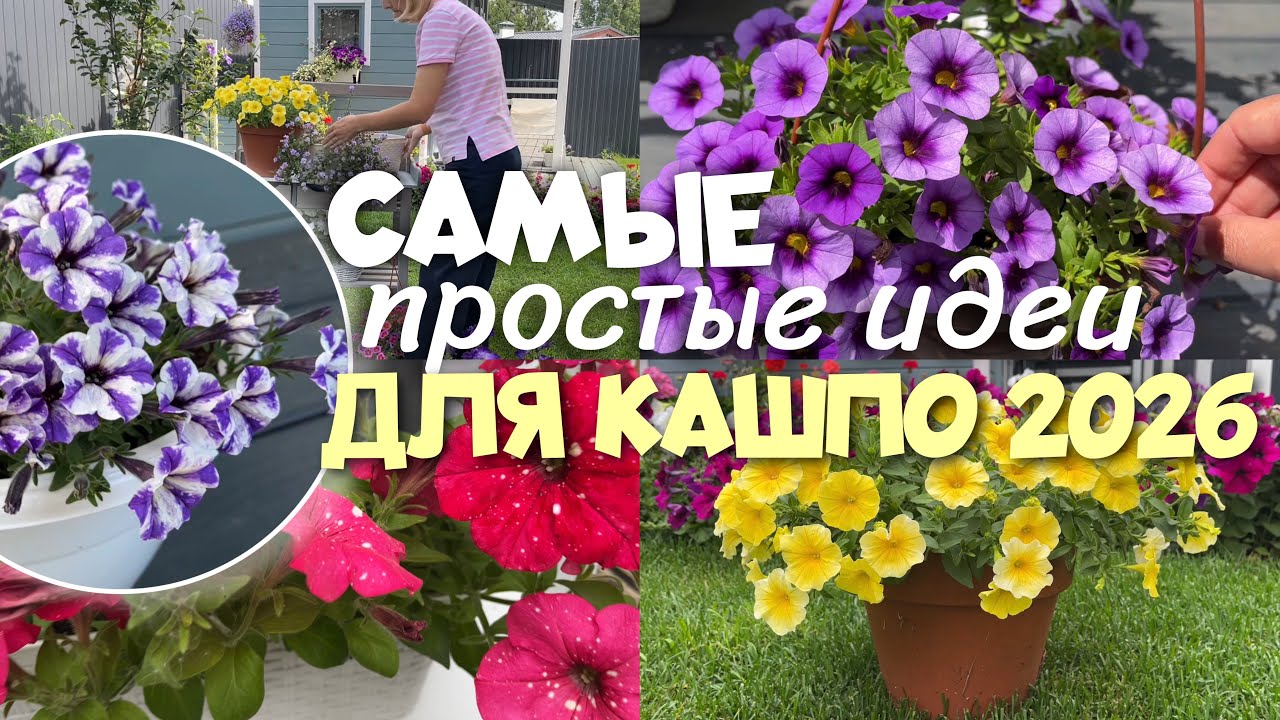 САМЫЕ ПРОСТЫЕ ИДЕИ ДЛЯ КАШПО 2026 🌿/ МОИ ЛЮБИМЫЕ КОМБИНАЦИИ ЦВЕТОВ