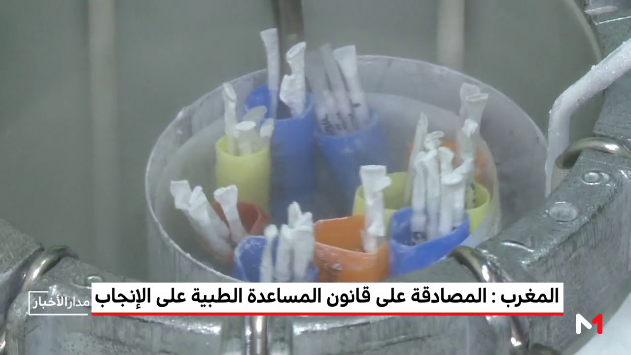 المغرب: المصادقة على قانون المساعدة الطبية على الإنجاب