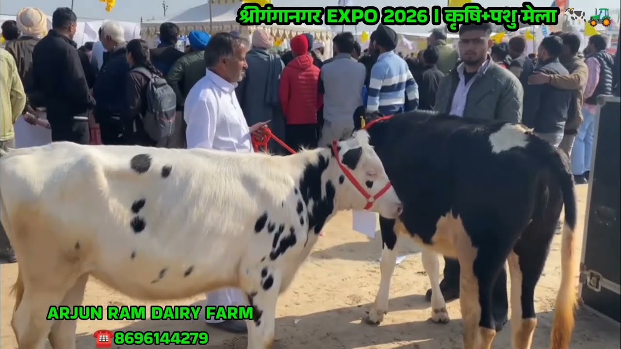 23*24*25 जनवरी में लगा कृषि🚜 व पशु मेला 🐄श्रीगंगानगर राज्य राजस्थान KPAR  मेला देखिए  ✅👍✅👍✅👍