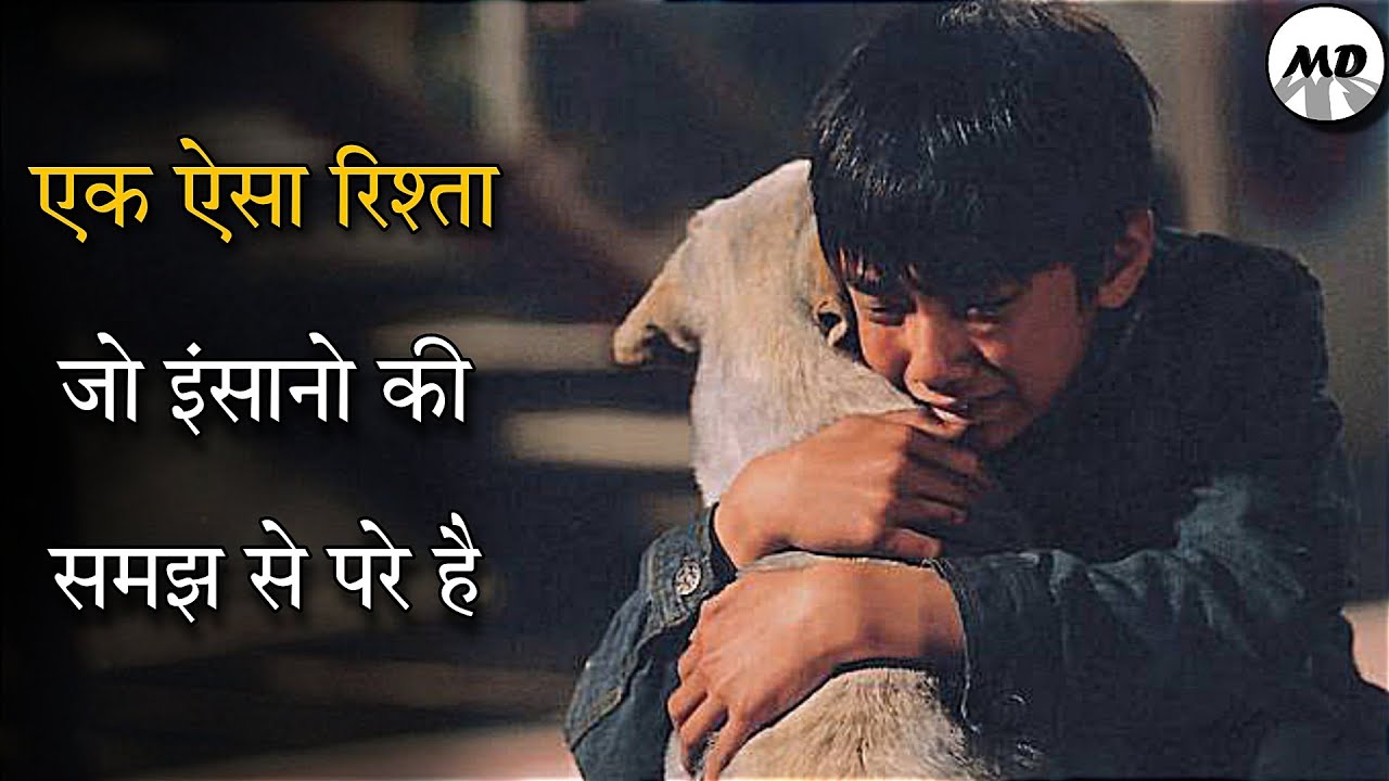 Hearty Paws Movie Explained In Hindi | A Heart Wrenching Film