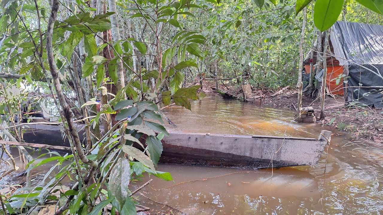 POR QUE NÃO  TO PESCANDO?