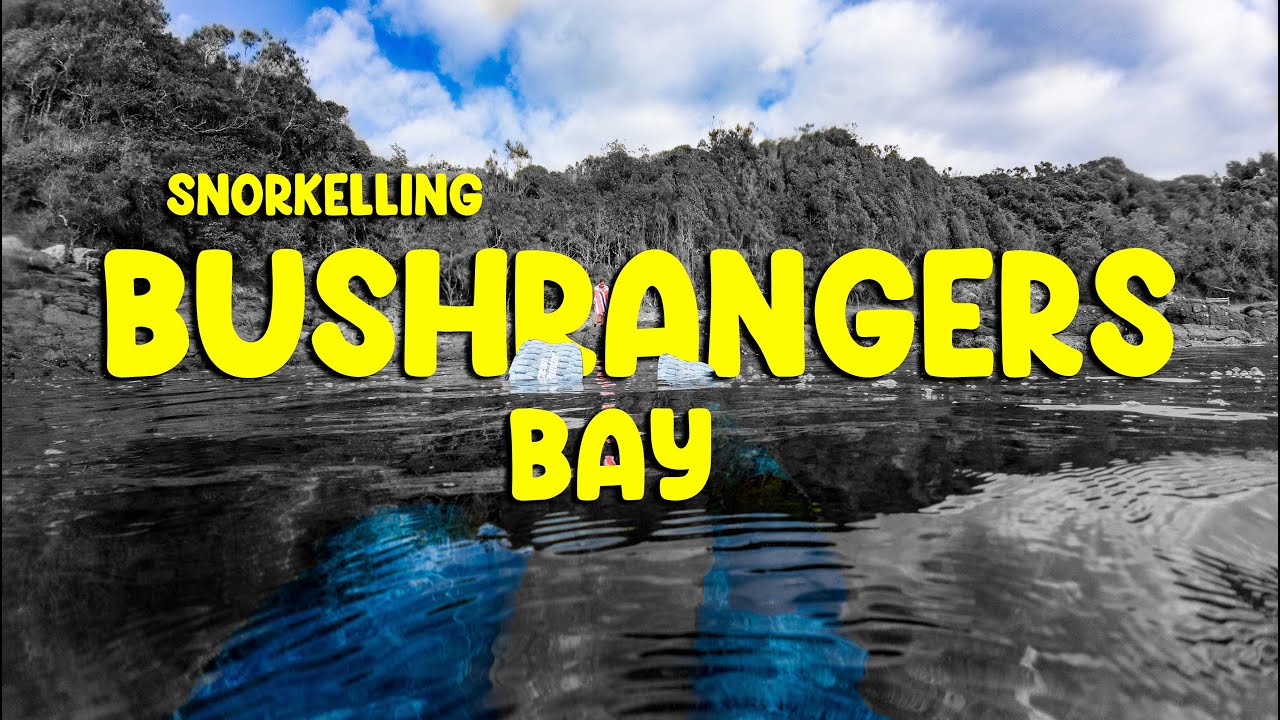 Snorkelling Bushrangers Bay