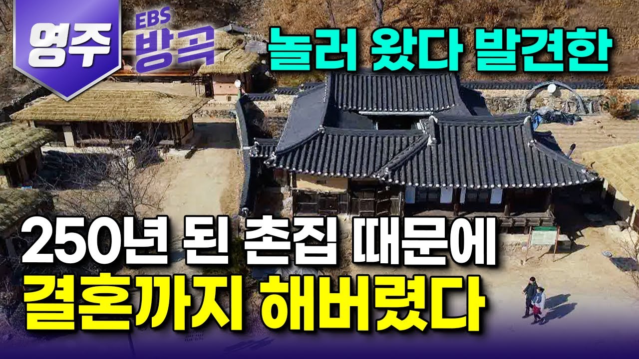 [경북 영주] 외나무다리 하나로 이어진 육지 속 섬, 하룻밤 여행 왔다가 우연히 발견한 오래된 고택에 반해 그대로 결혼까지 해버리고 눌러앉은 여자｜무섬마을｜#한국기행 #방방곡곡