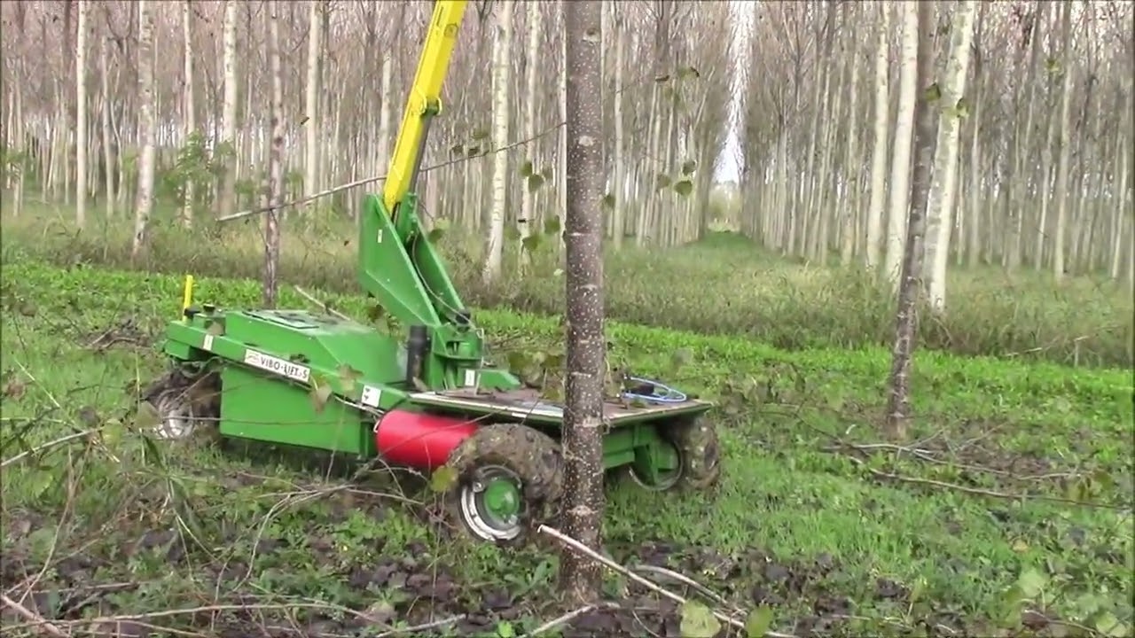 VIBO LIFT E POTATURA PIOPPETO