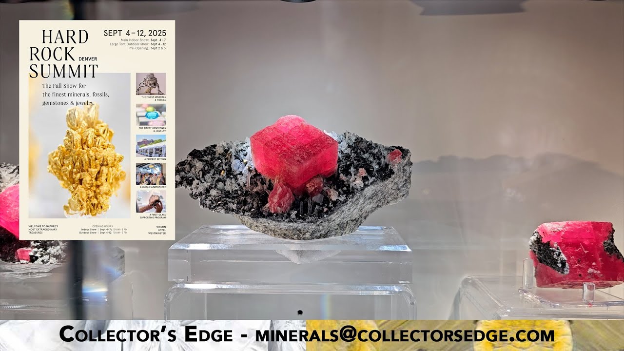 Collector's Edge - 2025 HardRock Summit