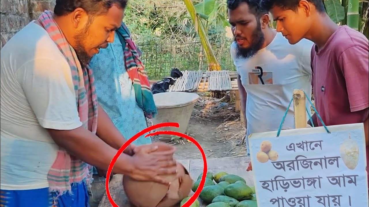 এখানে অরজিনাল হাড়িভাঙ্গা আম পাওয়া যায়!