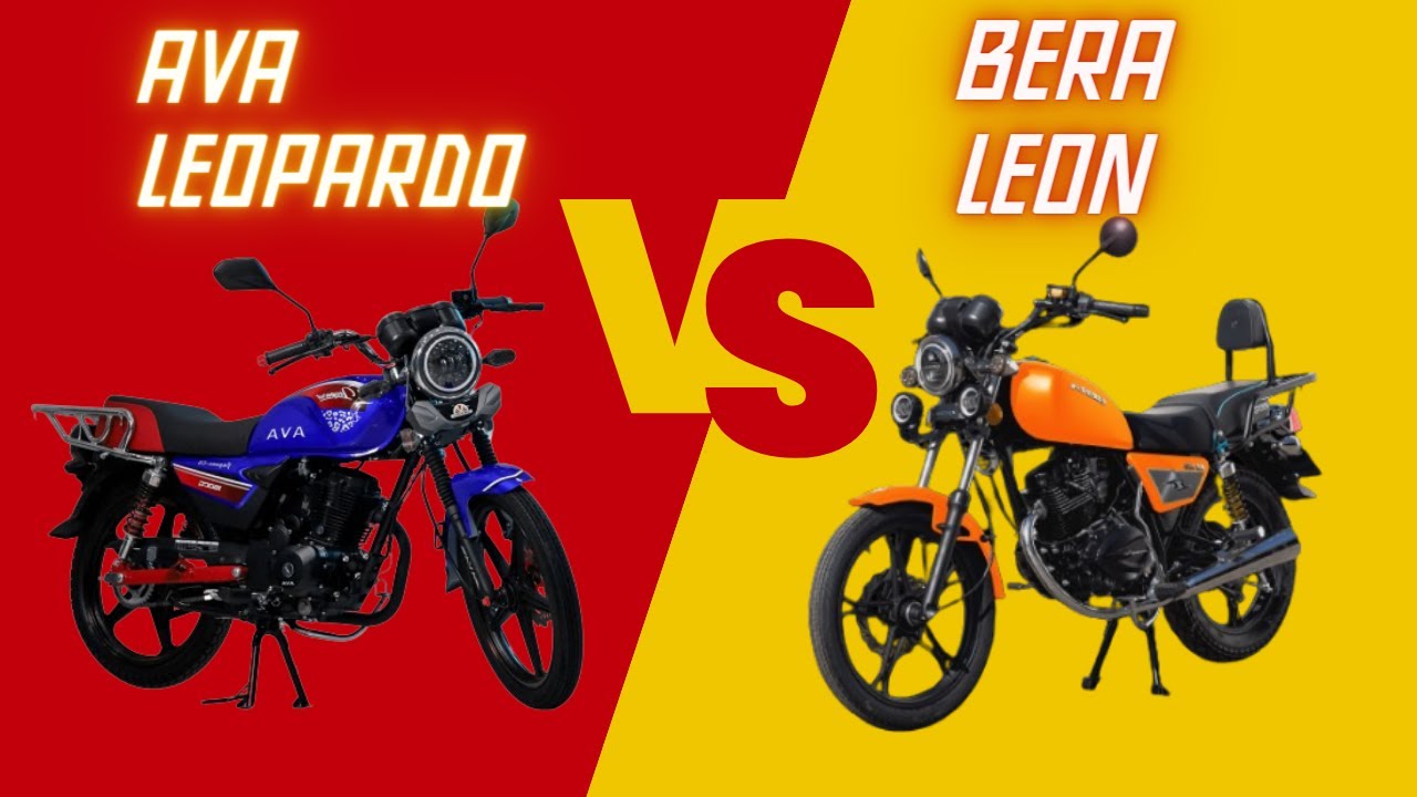 AVA LEOPARDO vs BERA LEON - Cual es Mejor?