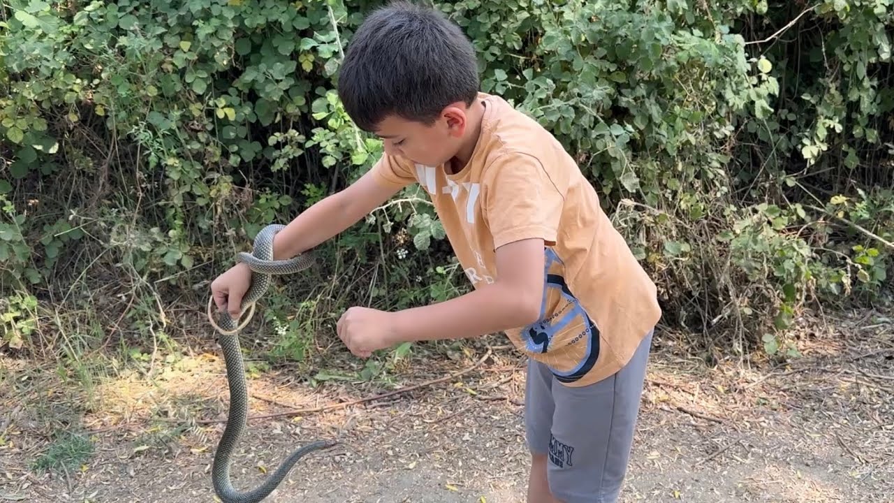 Özgür ün Yılan ile imtihanı 🤭