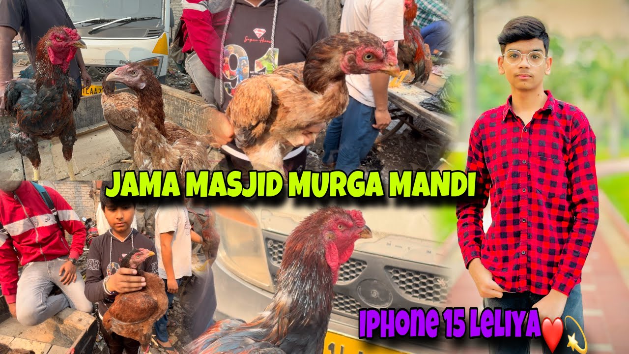 2023 Murga mandi jama masjid ||मुर्ग़ा मंडी जामा मस्जिद|| #murgamandi #jamamasjid #viral
