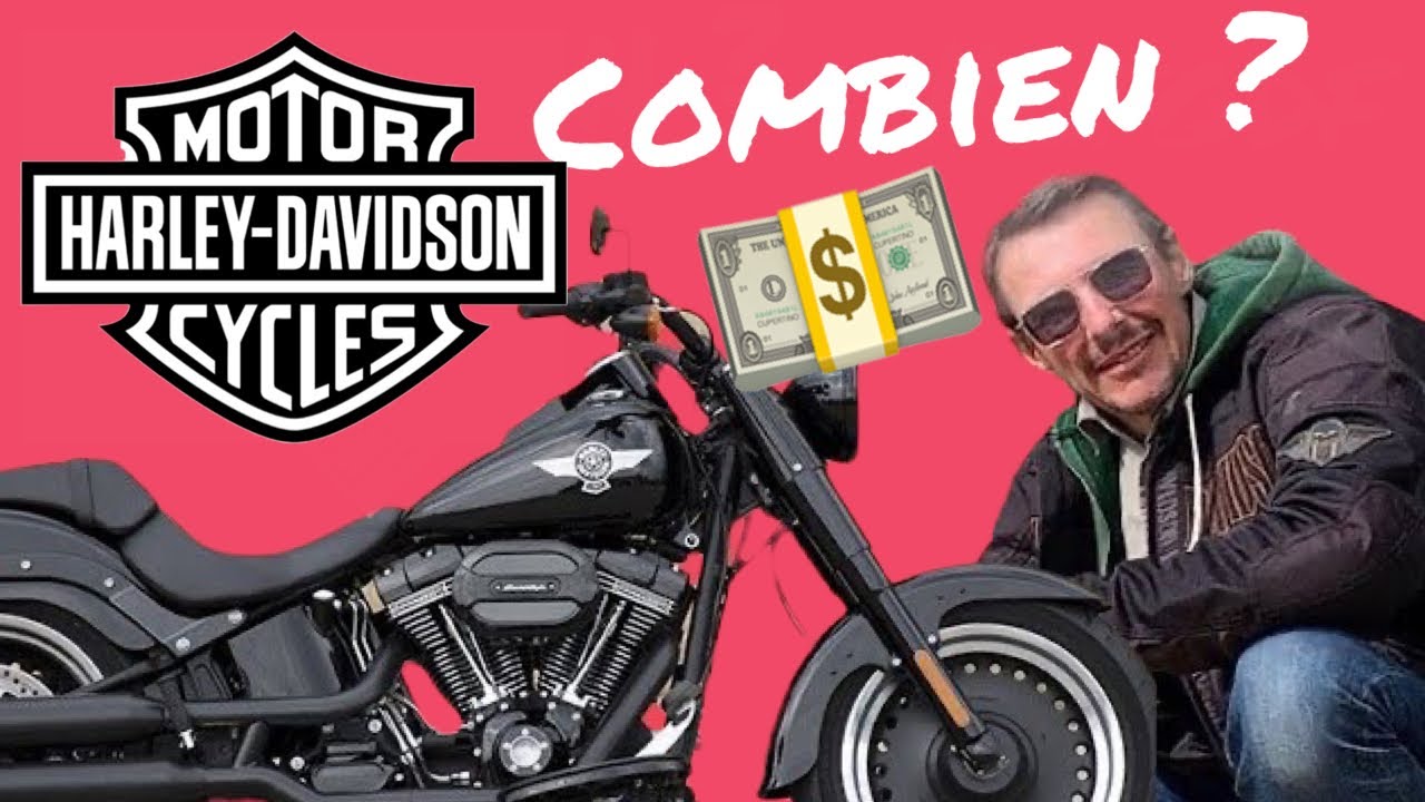 3/3 PROJET HARLEY DAVIDSON FAT BOY S - COMBIEN ÇA COUTE ? (projet) #lfgdf #harleydavidson #fatboy