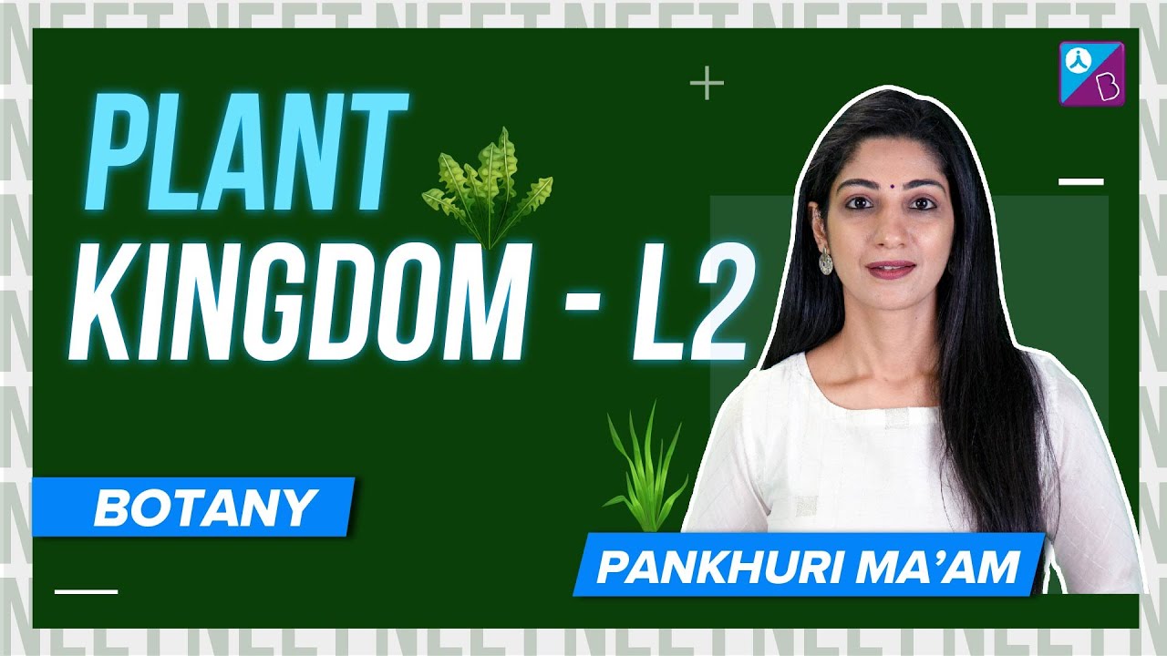 Chlorophycae - Plant Kingdom Class 11 Biology Concept Explained | NEET 2024 Exam
