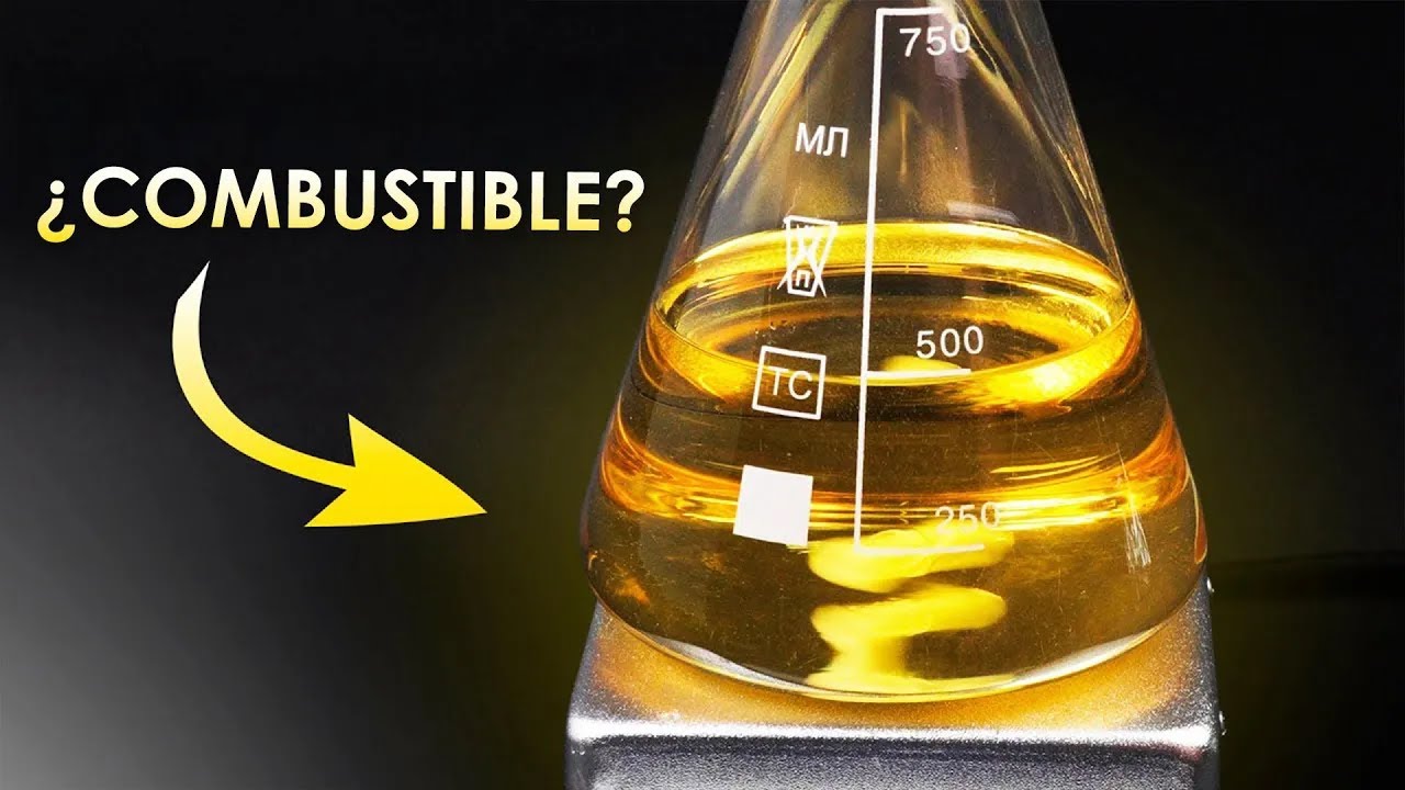 ¿Por qué el biocombustible es un engaño?