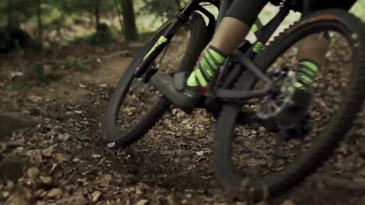 Riding FOCUS JAM