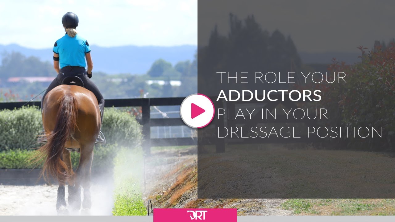 The Role Our Adductors (Inner Thighs) Play In Dressage Position
