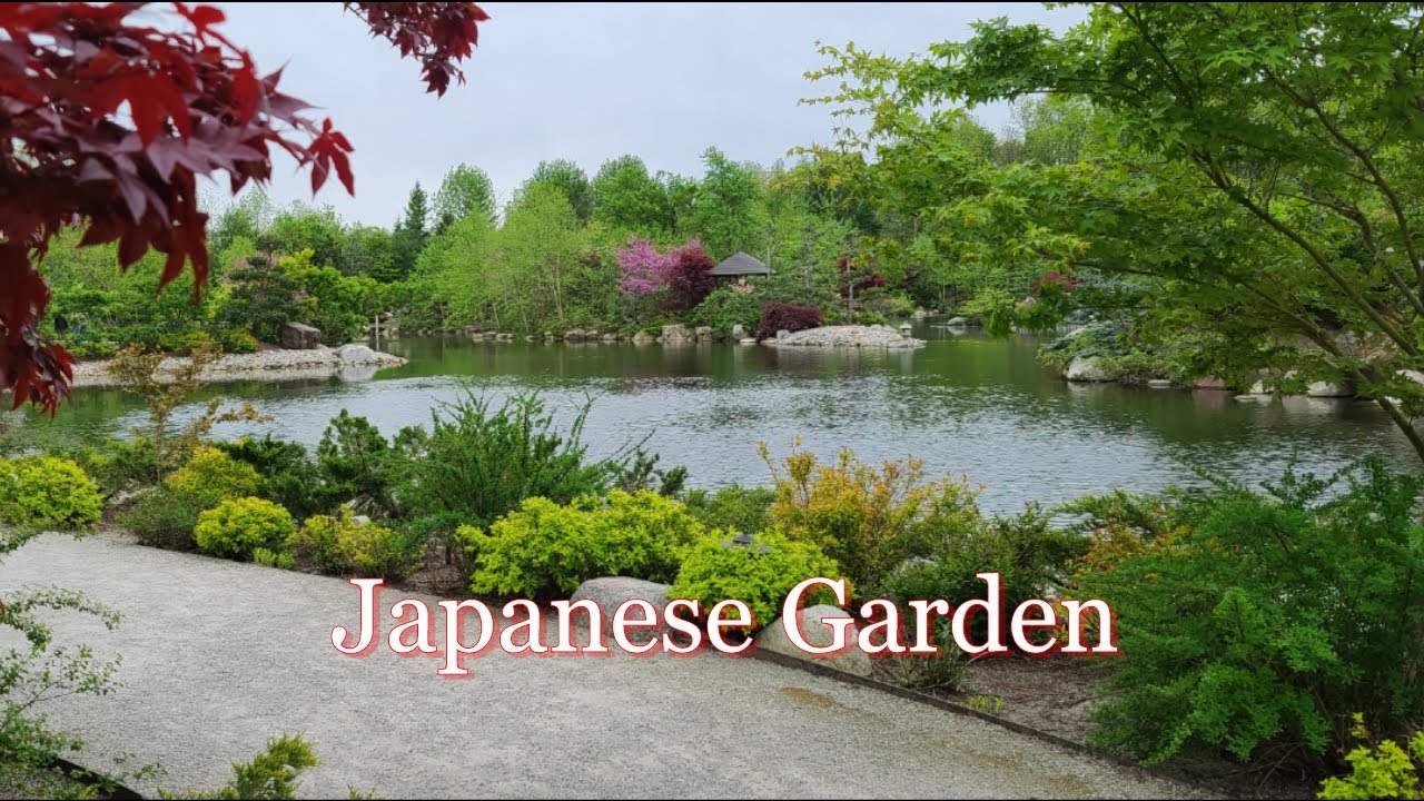Let's visit the #beautiful Japanese #garden #vlog