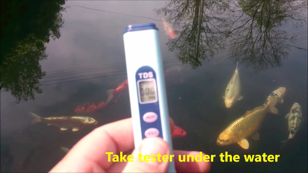 TDS Digital Salinity Tester/Meter for Salt Water Pool & Fish/Koi Pond Testing