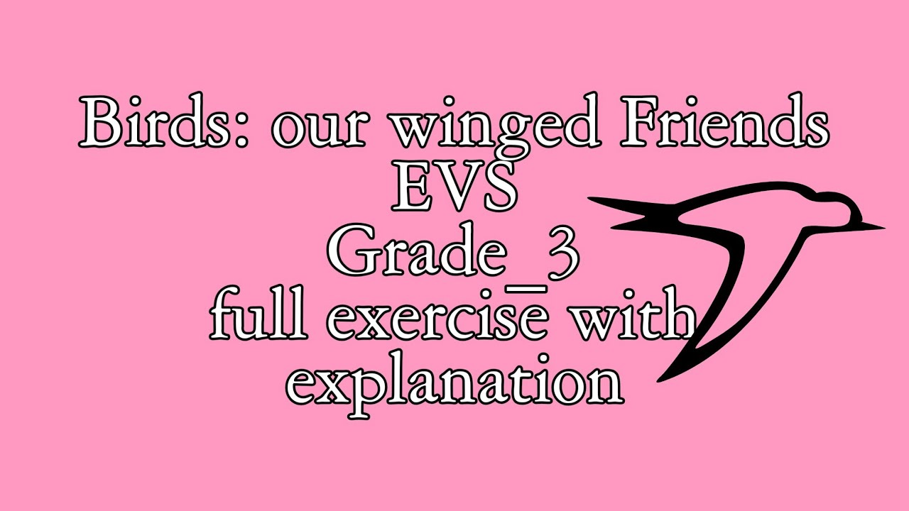Birds our winged friends full exercise with explanation