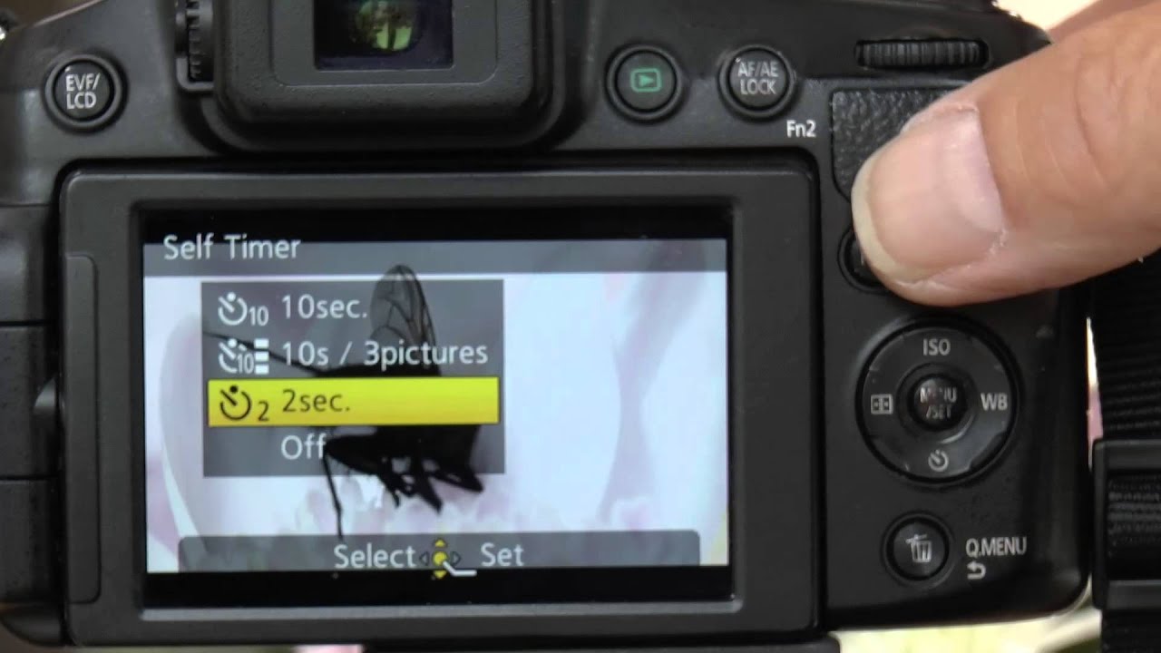 Focus Stacking Tutorial for the Panasonic FZ200 and Raynox Close Up Lenses