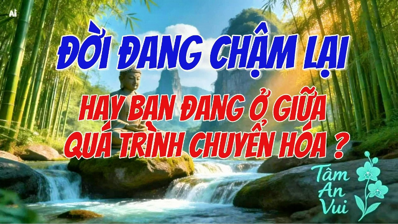 Đời đang chậm lại hay bạn đang chuyển hóa? |Tâm An Vui  #tamanvui #thiền #biếtơn #binhan #hanhphuc