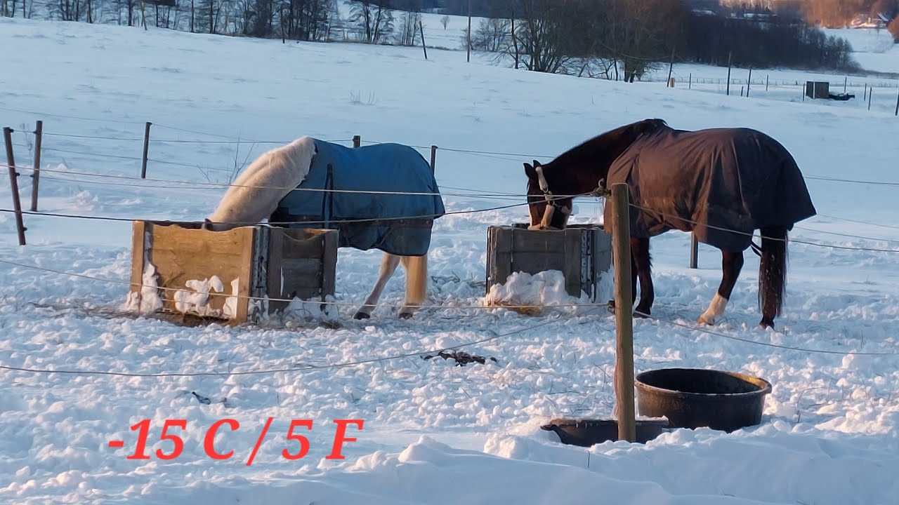 Теплая вода замерзает быстрее холодной. Сегодня -15°C 🥶