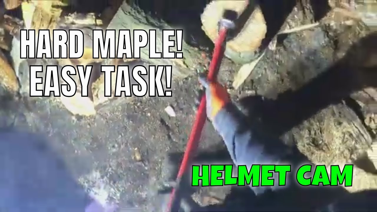 SUGAR MAPLE DESTRUCTION! FIREWOOD SPLITTING