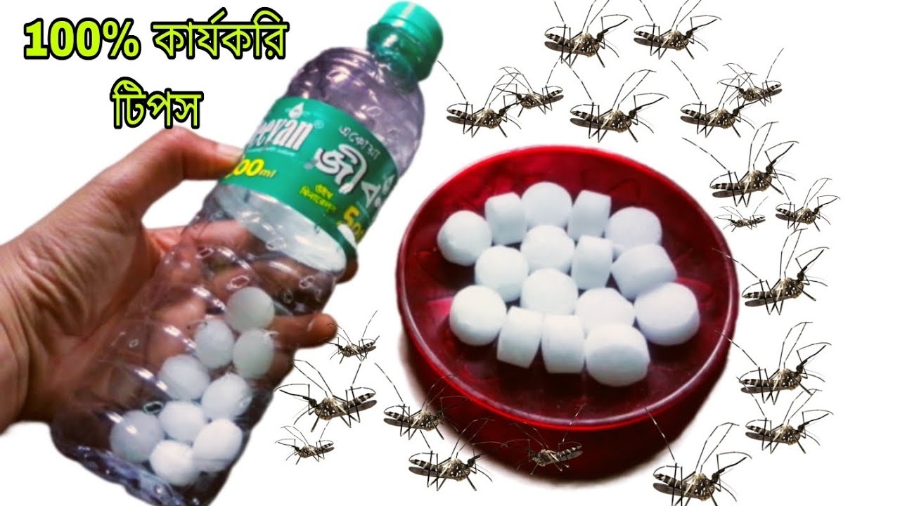 কোনো কেমিক্যাল ছাড়াই বোতল ও ন্যাপথলিন দিয়ে মশা তাড়ানোর ঘরোয়া সহজ পদ্ধতি।Mosquito Killer.