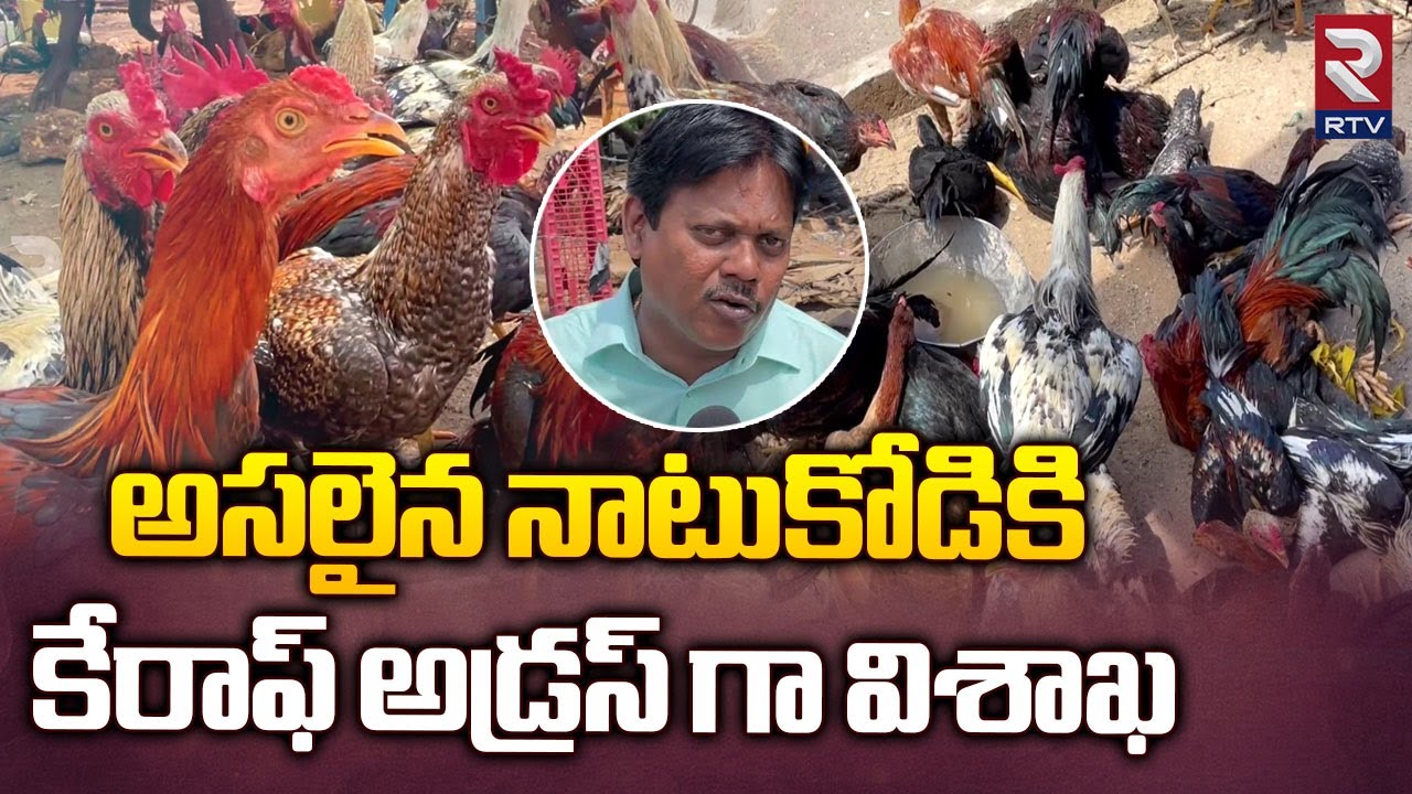 Pure Original Natu kodi In Visakhapatnam | అసలైన నాటు కోడి కి కేరాఫ్ అడ్రస్ గా విశాఖ | RTV Vizag