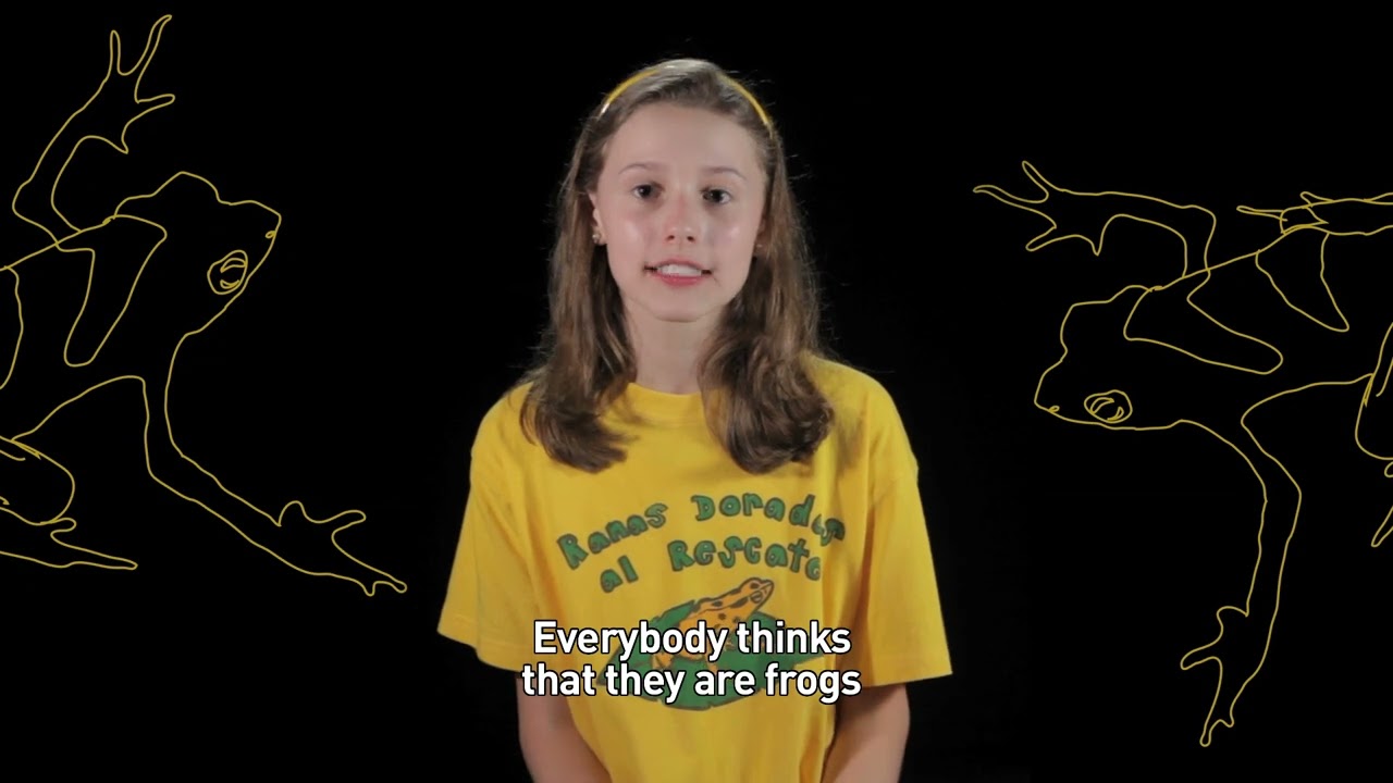 The Importance of Frogs