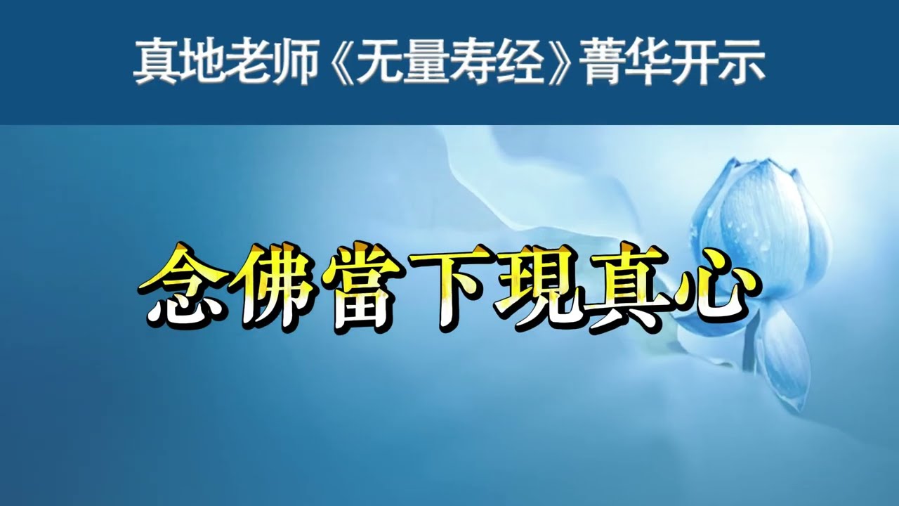 念佛当下现真心 26-071 真地老师《无量寿经》菁华开示